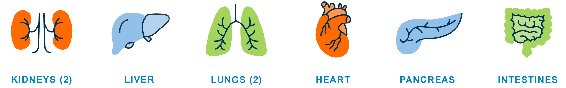 Organ Types for Donation